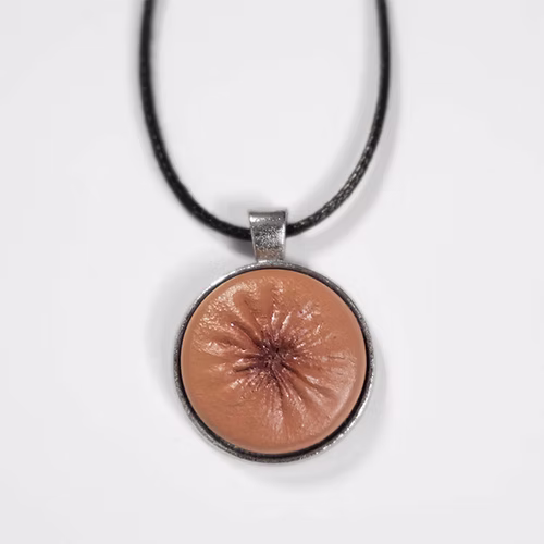 Anus Kette (kein Scherz)