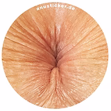 funny asshole sticker