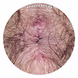 funny butthole sticker