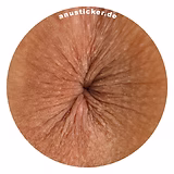 funny asshole sticker